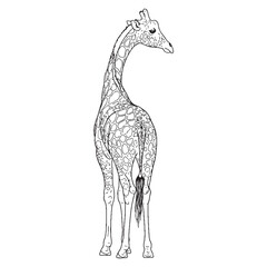 Tall Giraffe Silent Presence Air - Giraffe vector - Giraffe Line art - Giraffe Drawing - Vector Lineart of Giraffe - giraffe logo - giraffe outline

