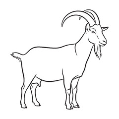 Tufted Goat Chin Feature Shape - Goat vector - Goat Line art - Goat Drawing - Vector Lineart of Goat - goat logo - goat outline

