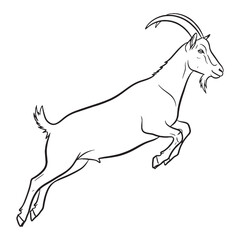 Acute Goat Sensory Head Traits - Goat vector - Goat Line art - Goat Drawing - Vector Lineart of Goat - goat logo - goat outline


