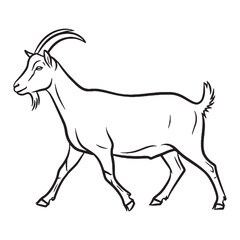 Key Goat Rare Trait Element - Goat vector - Goat Line art - Goat Drawing - Vector Lineart of Goat - goat logo - goat outline

