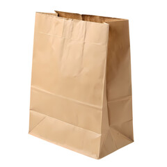 Kraft Paper Bag: Texture and Design
