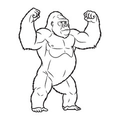 Massive Gorilla Body Anatomy Sketch - Gorilla vector - Gorilla Line art - Gorilla Drawing - Vector Lineart of Gorilla - gorilla icon - outline of gorilla


