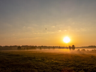 Krajobraz leśny  © Mati