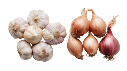 Fresh garlic and shallots on a white isolated background, perfect for culinary and cooking themes.