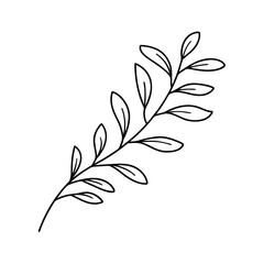 Black outline of a delicate branch with leaves botanical