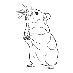 Ultimate Hamster Untamed Spirit Vision - Hamster vector - Hamster Line art - Hamster Drawing - Vector Lineart of Hamster - hamster logo - hamster outline

