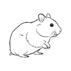 Key Hamster Rare Trait Element - Hamster vector - Hamster Line art - Hamster Drawing - Vector Lineart of Hamster - hamster logo - hamster outline

