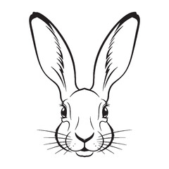 Acute Hare Sensory Head Traits - Hare vector - Hare Line art - Hare Drawing - Vector Lineart of Hare - Hare illustration - hare outline

