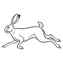 Full Hare Essential Nature Glimpse - Hare vector - Hare Line art - Hare Drawing - Vector Lineart of Hare - Hare illustration - hare outline


