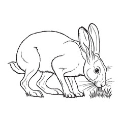 Profound Hare Inherent Nature Soul - Hare vector - Hare Line art - Hare Drawing - Vector Lineart of Hare - Hare illustration - hare outline

