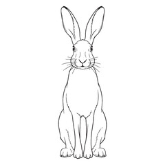 Vast Hare Ancient Aura Ambit - Hare vector - Hare Line art - Hare Drawing - Vector Lineart of Hare - Hare icon - outline of hare

