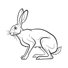 Long-eared Hare Feature Shape - Hare vector - Hare Line art - Hare Drawing - Vector Lineart of Hare - Hare illustration - hare outline

