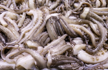 Squid in fishmonger clean cuttlefish