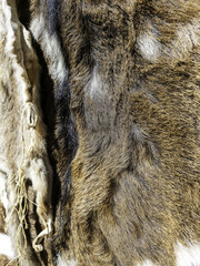 Animal skin hair