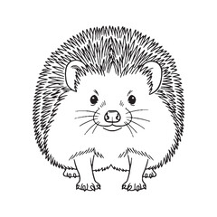 Compact Hedgehog Body Anatomy Sketch - Hedgehog vector - Hedgehog Line art - Hedgehog Drawing - Vector Lineart of Hedgehog - Hedgehog icon - outline of hedgehog

