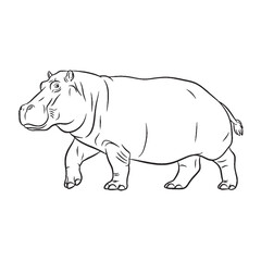 Profound Hippo Inherent Nature Soul - Hippo vector - Hippo Line art - Hippo Drawing - Vector Lineart of Hippo - Hippo illustration - vector of hippo

