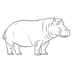 Vast Hippo Ancient Aura Ambit - Hippo vector - Hippo Line art - Hippo Drawing - Vector Lineart of Hippo - Hippo icon - drawing of hippo


