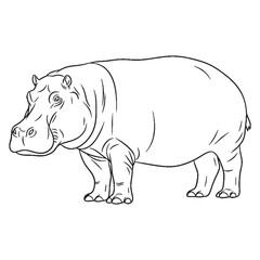 Submerged Hippo Silent Presence Air - Hippo vector - Hippo Line art - Hippo Drawing - Vector Lineart of Hippo - Hippo illustration - vector of hippo

