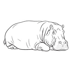 Broad Hippo Snout Feature Shape - Hippo vector - Hippo Line art - Hippo Drawing - Vector Lineart of Hippo - Hippo illustration - vector of hippo

