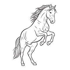 Firm Horse Durable Structure Aspect - Horse vector - Horse Line art - Horse Drawing - Vector Lineart of Horse - Horse icon - drawing of horse

