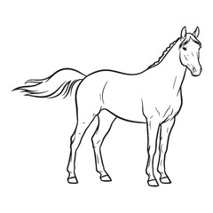 Noble Equus Being Attribute - Horse vector - Horse Line art - Horse Drawing - Vector Lineart of Horse - Horse icon - drawing of horse

