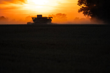 Grain harvest at late sunset