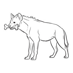 Firm Hyena Durable Structure Aspect - Hyena vector - Hyena Line art - Hyena Drawing - Vector Lineart of Hyena - Hyena icon - drawing of hyena

