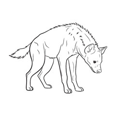 Full Hyena Essential Nature Glimpse - Hyena vector - Hyena Line art - Hyena Drawing - Vector Lineart of Hyena - Hyena illustration - vector of hyena

