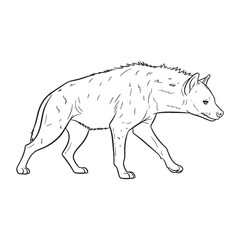 Total Hyena Physical Makeup Figure - Hyena vector - Hyena Line art - Hyena Drawing - Vector Lineart of Hyena - Hyena icon - drawing of hyena

