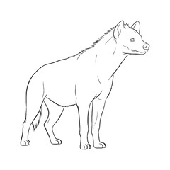 Profound Hyena Inherent Nature Soul - Hyena vector - Hyena Line art - Hyena Drawing - Vector Lineart of Hyena - Hyena illustration - vector of hyena

