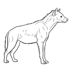 Vast Hyena Ancient Aura Ambit - Hyena vector - Hyena Line art - Hyena Drawing - Vector Lineart of Hyena - Hyena icon - drawing of hyena

