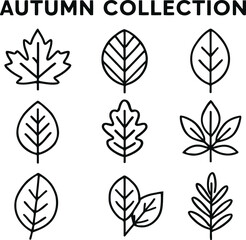 Fototapeta premium Autumn Leaves Icon Set – Minimal Line Style Fall Leaf Collection Vector Design