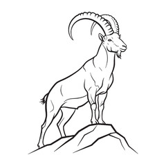 Ultimate Ibex Untamed Spirit Vision - Ibex vector - Ibex Line art - Ibex Drawing - Vector Lineart of Ibex - Ibex illustration - vector of ibex

