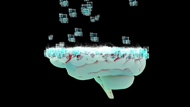 Brain Simulate being built. Can be used in technology background, science or medicine. 3D Render.