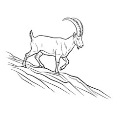 Longhorn Ibex Horn Feature Shape - Ibex vector - Ibex Line art - Ibex Drawing - Vector Lineart of Ibex - Ibex illustration - vector of ibex

