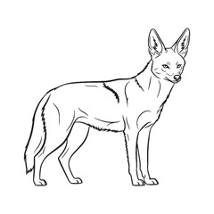 Sprawling Jackal Ancient Aura Realm - Jackal vector - Jackal Line art - Jackal Drawing - Vector Lineart of Jackal - Jackal icon - its iconic creature enduring essence


