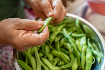Elderly woman preparing fresh green beans in a kitchen bowl