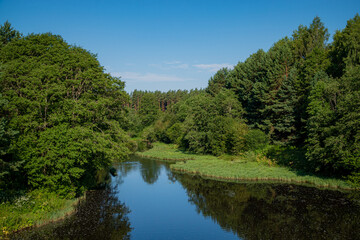 A tranquil river flows gently, reflecting the bright sky and vibrant greenery all around