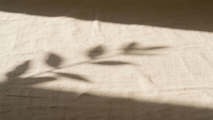 Shadow of a Plant on a Textured Cloth Surface