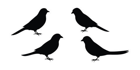 Bird Silhouettes Set, Small Songbird Silhouette Illustration