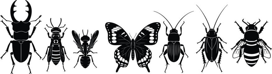 Insect silhouette set, CAD vector illustration, bug anatomy sketch, entomology species icons, flat style beetle, butterfly, ant graphic
