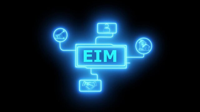 Neon Blue E I M Icon with Growth Chart and User Symbol Connected on Black Background Digital