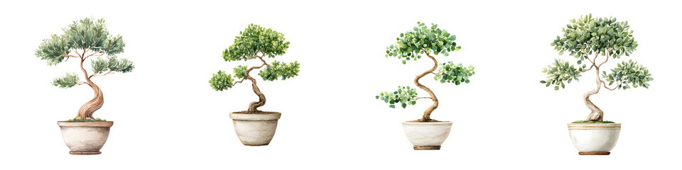 Watercolor Bonsai Trees in Pots Isolated on White