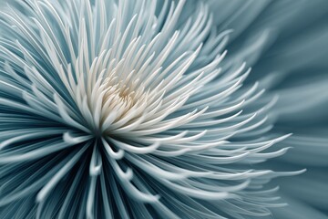 Obraz premium Delicate Abstract Floral Design with Soft Blue and White Tones
