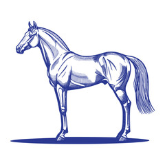 Horse standing. Vintage woodcut linocut engraving style vector illustration.