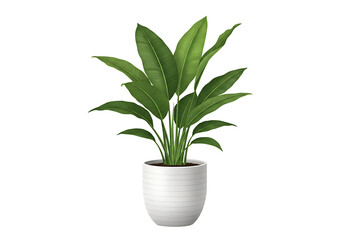 Green Indoor Plant in Pot