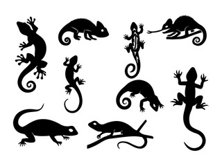 Collection of diverse lizard silhouettes in various poses and styles isolated on white background silhouette