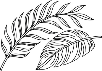 Obraz premium Delicate palm fronds and feather outline black and white