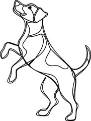 Playful dog standing on hind legs canine animal