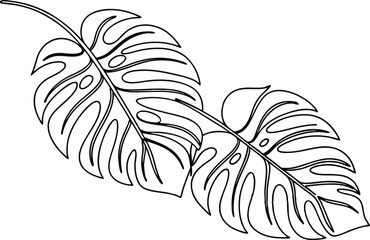 Monstera leaves outline tropical leaves botanical illustration